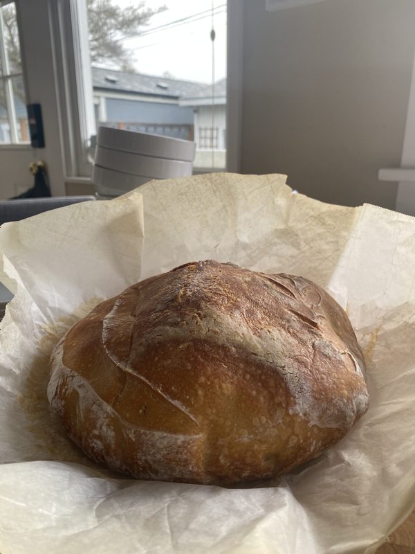 A scored, deeply browned sourdough boule resting in parchment paper by a window